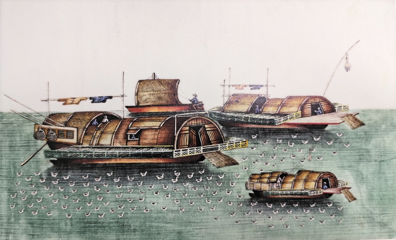 通草画.jpg 通草画.jpg