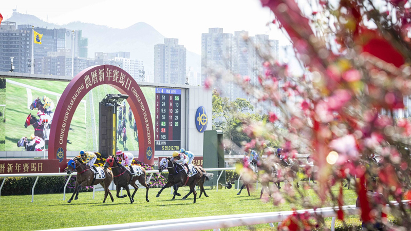 届时将会举办三大焦点赛事。马会网页图片 届时将会举办三大焦点赛事。马会网页图片