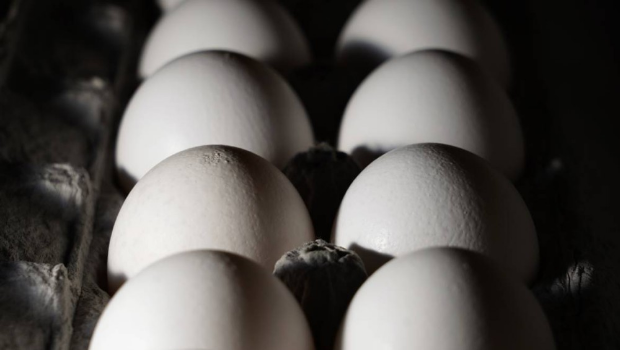 美国禽流感蔓延致当地出现鸡蛋荒。