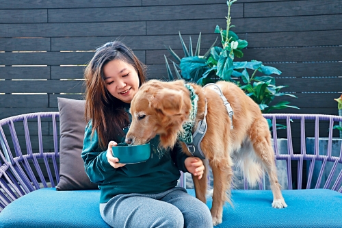 杜佩颖与宠物QQ感情深厚。 杜佩颖与宠物QQ感情深厚。