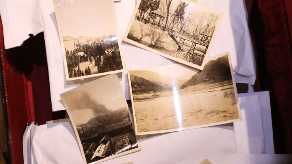 Marcus Detrez提供的照片。网络图片 Marcus Detrez提供的照片。网络图片