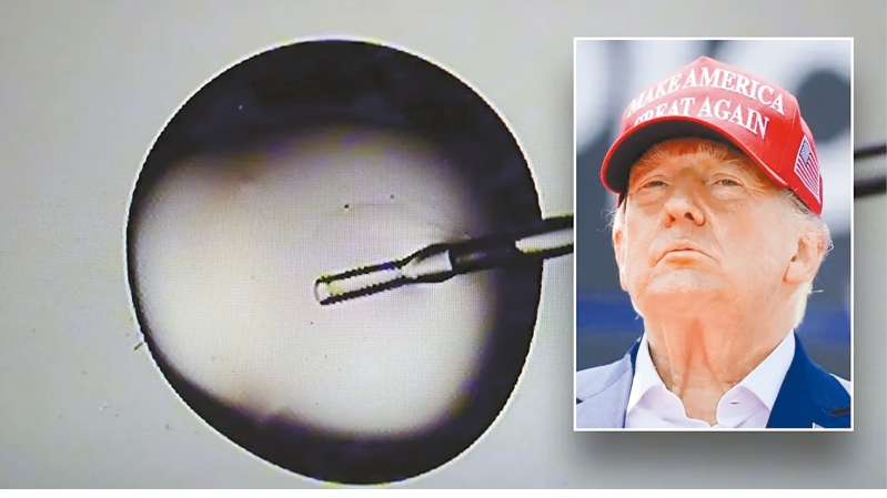 特朗普颁令降低试管婴儿费用。 特朗普颁令降低试管婴儿费用。