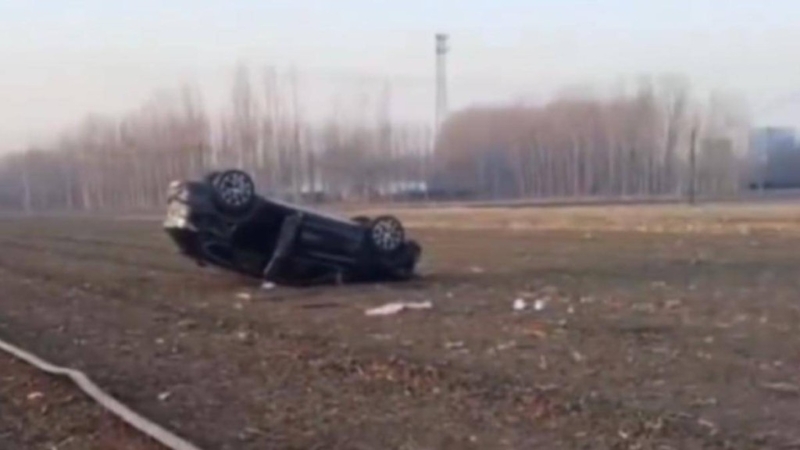 王子墨乘坐的汽车被撞出田地,四轮朝天。 王子墨乘坐的汽车被撞出田地,四轮朝天。