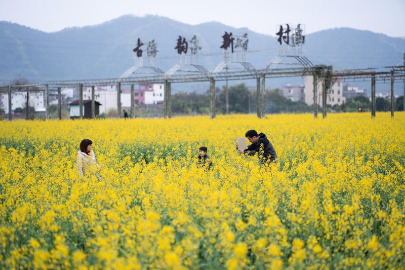 云浮郁南 云浮郁南