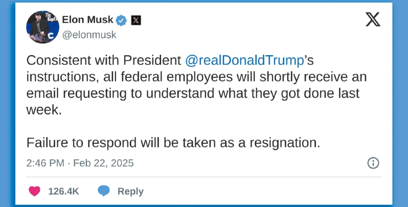 特朗普力挺马斯克。