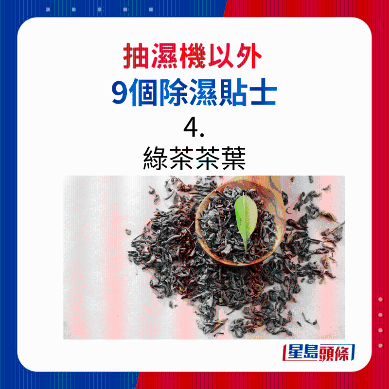绿茶茶叶 绿茶茶叶
