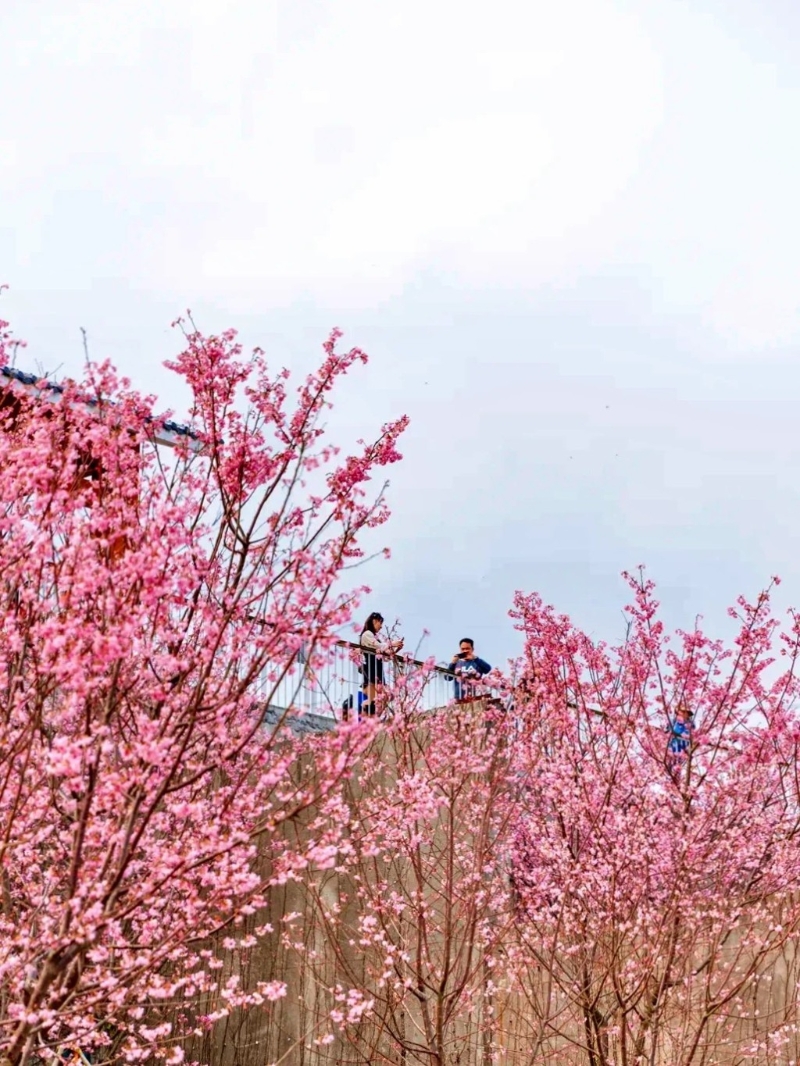 小三洲水库位于盐田区。（图片来源：默言@小红书）