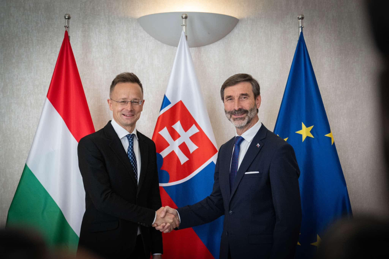 斯洛伐克与匈牙利外长