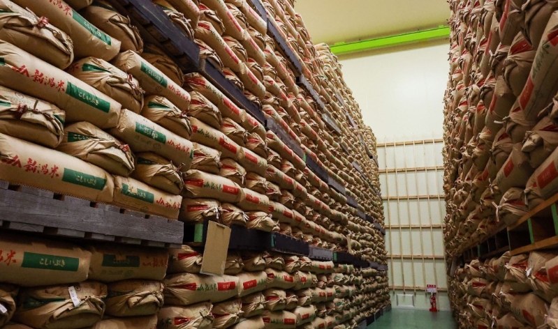 日本政府在东京北部埼玉县的一个大米仓库。 法新社