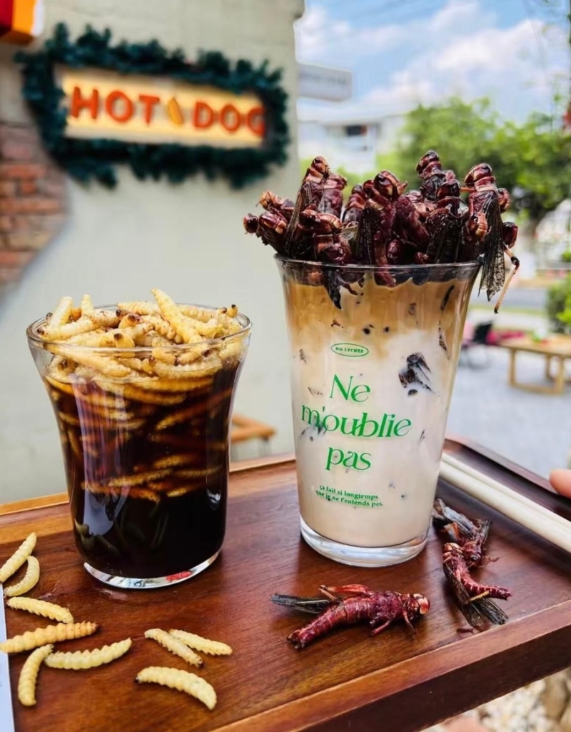 昆虫咖啡 昆虫咖啡