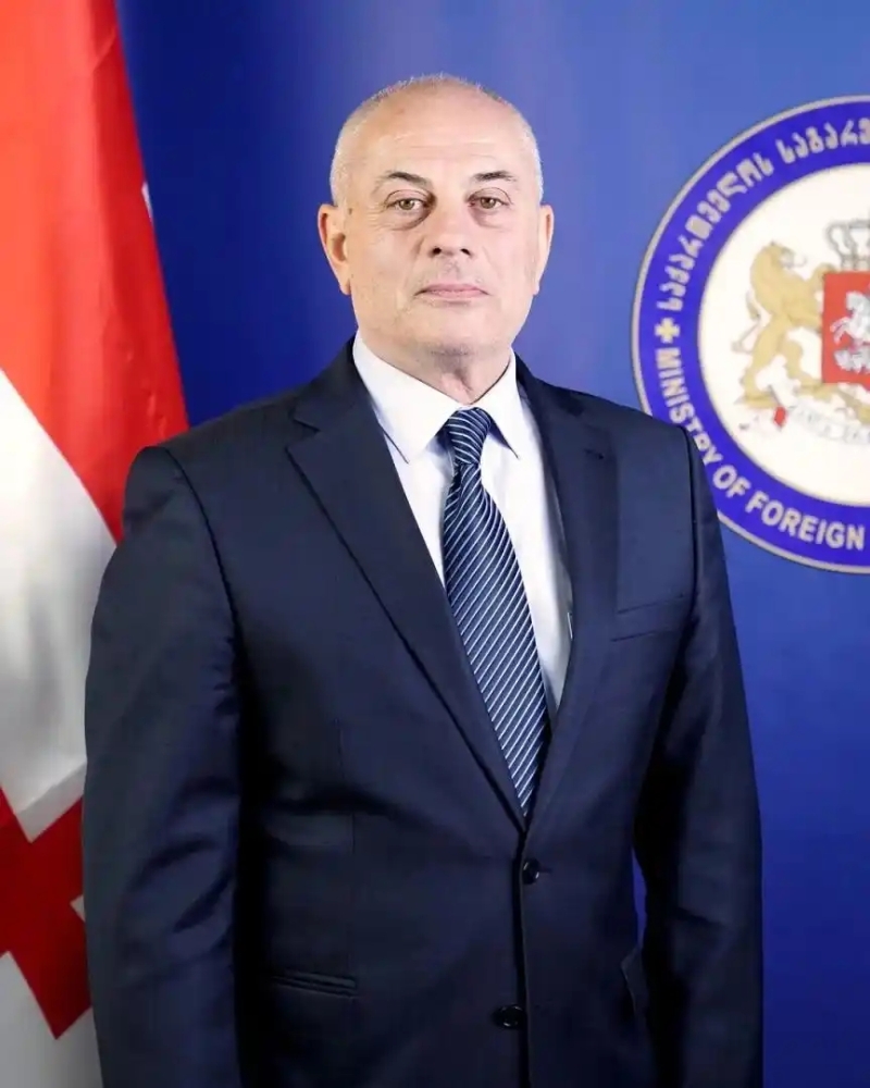 格鲁吉亚驻华大使卡岚达泽卡岚达泽