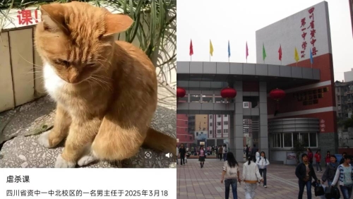 四川中学老师当学生面虐杀小猫，教体局已介入调查。