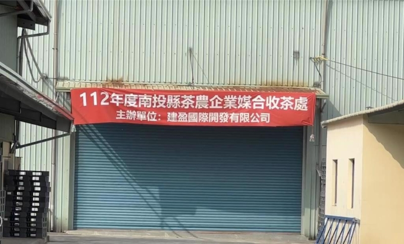 收购茶叶处 收购茶叶处