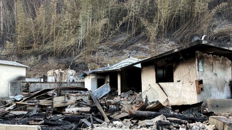 山清郡房屋被山火烧毁。 路透社