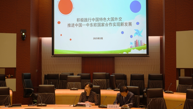 霍玉珍大使及岳斌大使分别发表专题演讲。 霍玉珍大使及岳斌大使分别发表专题演讲。