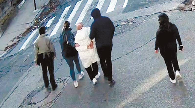 被捕塔夫茨大学博士。