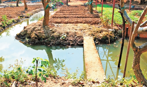 水沟之上搭着窄木板,农民跨过时如履平地 水沟之上搭着窄木板,农民跨过时如履平地
