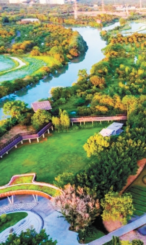 海珠湿地公园植被丰富,果树成林 海珠湿地公园植被丰富,果树成林