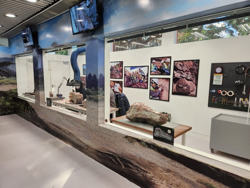 （图片授权：FB@海马仔 · 海马妈妈）