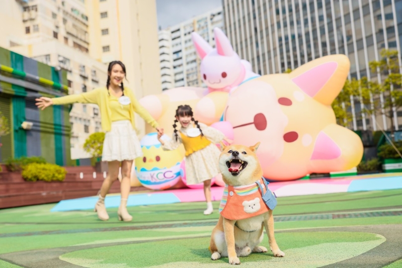 life@KCC + joy@KCC毛孩齐来捣蛋