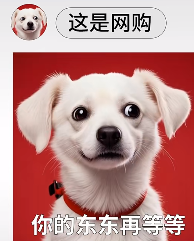 频号画面 频号画面