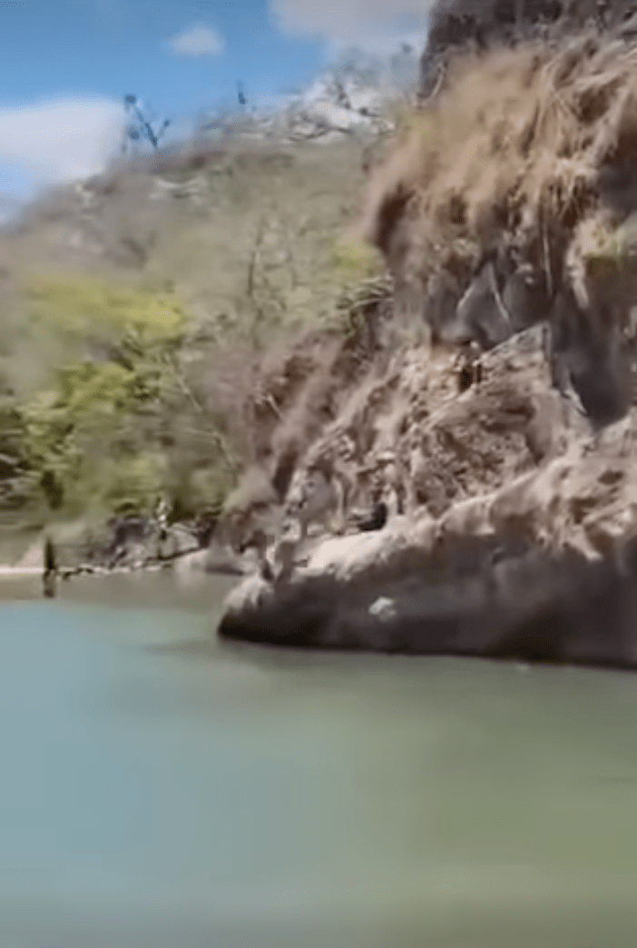 男子直撞岩石重創。網上片段截圖