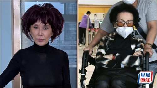 三太顾瑞英母女欢迎胜诉判决