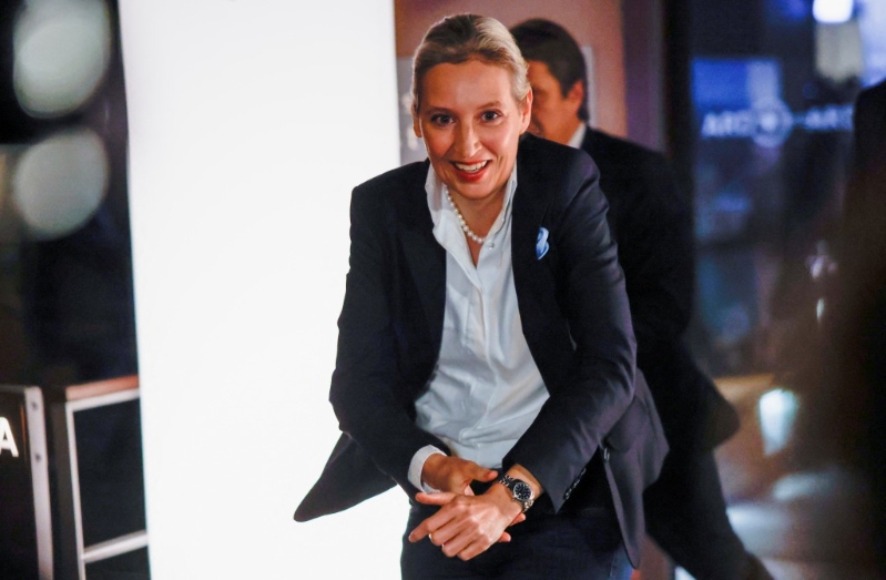 德国另类选择党党魁Alice Weidel。