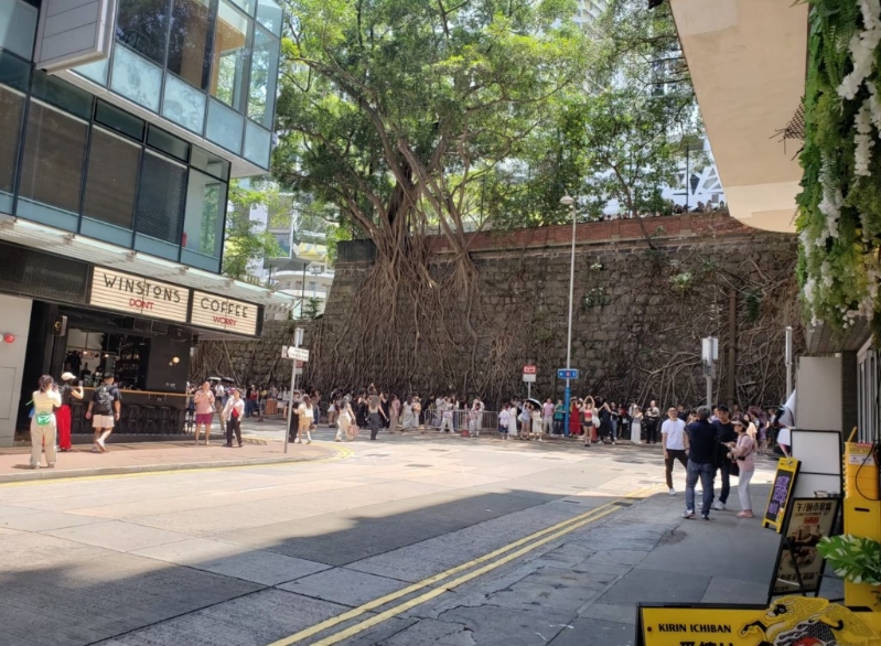 不少游客到科士街咖啡店打卡。小红书图片 不少游客到科士街咖啡店打卡。小红书图片