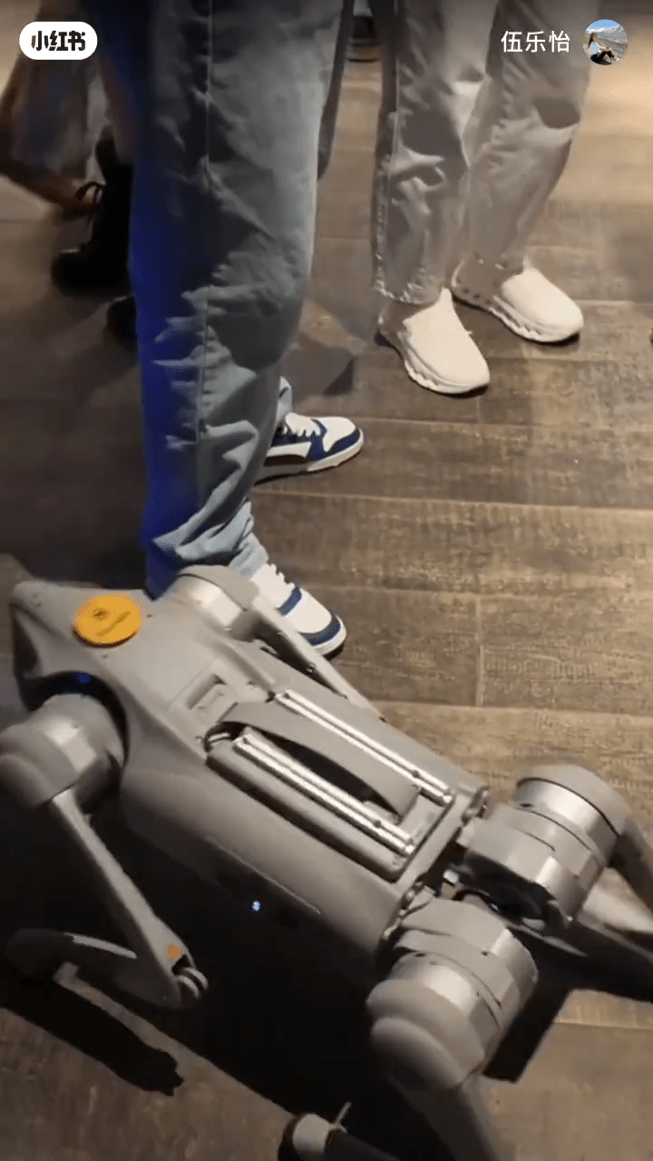 伍乐怡变身科技达人。 伍乐怡变身科技达人。