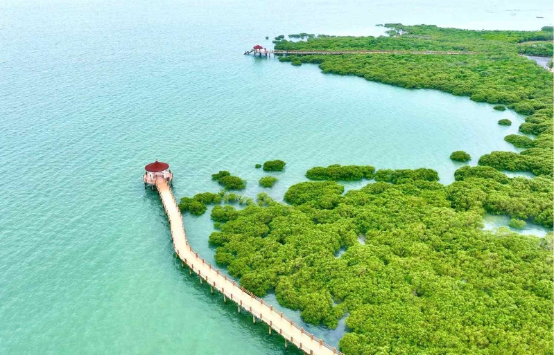 来湛江特呈岛,邂逅渔村慢生活。 来湛江特呈岛,邂逅渔村慢生活。