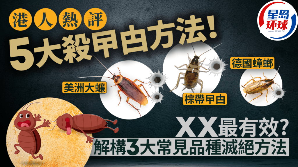港人热评5大杀蟑螂方法