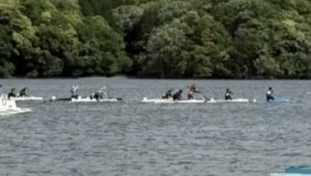 比赛情况。 比赛情况。