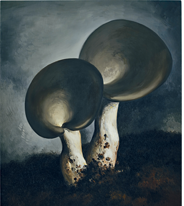 闫冰的油彩画作《蘑菇 第30号》,2020年作,估价由480,000至900,000港元。 闫冰的油彩画作《蘑菇 第30号》,2020年作,估价由480,000至900,000港元。