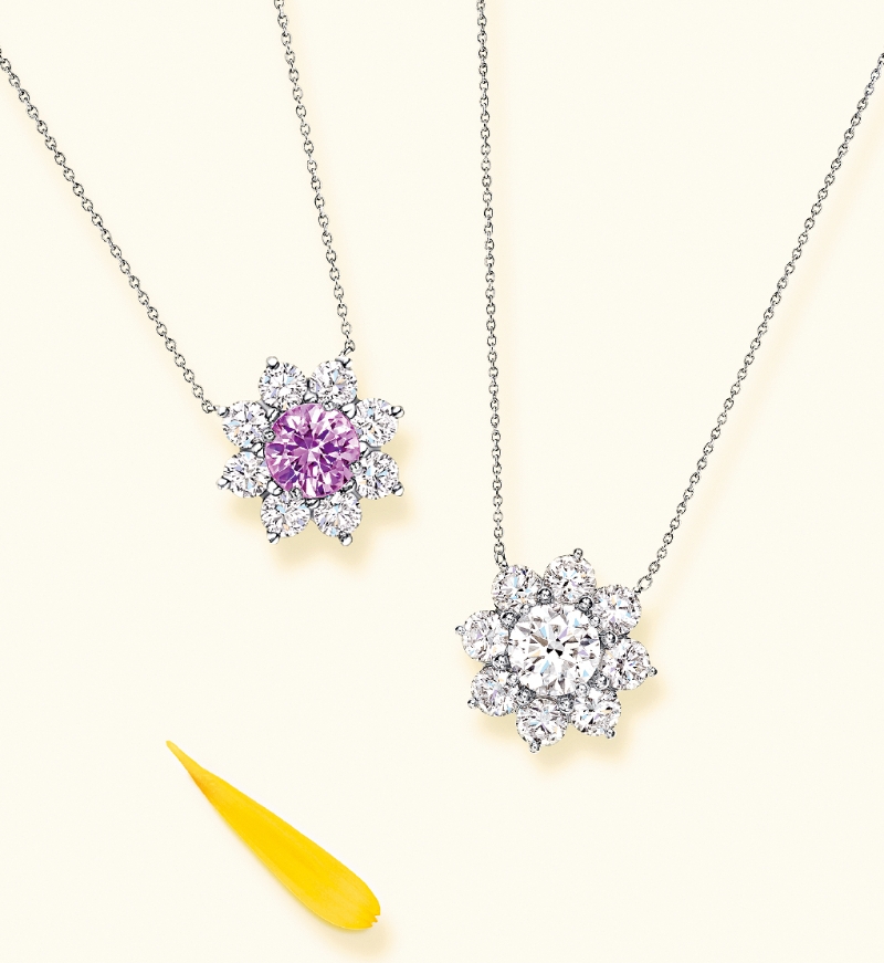 FEA23P29220525_fmt FEA23P29220525_fmt