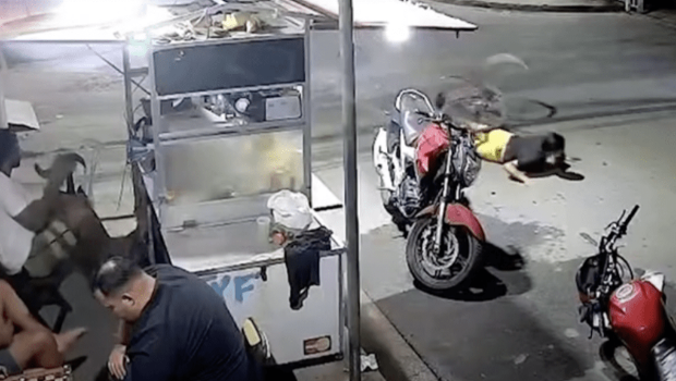 Toutube影片 Toutube影片