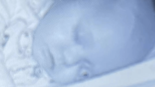 由于灯光昏暗、监视器解析度低，让奶嘴圆圆的按钮和护罩营造出逼真的错觉。