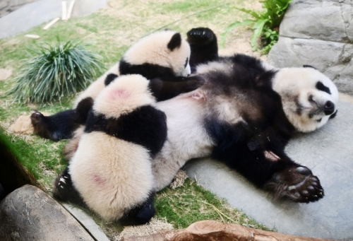 一家三口享受家庭乐。