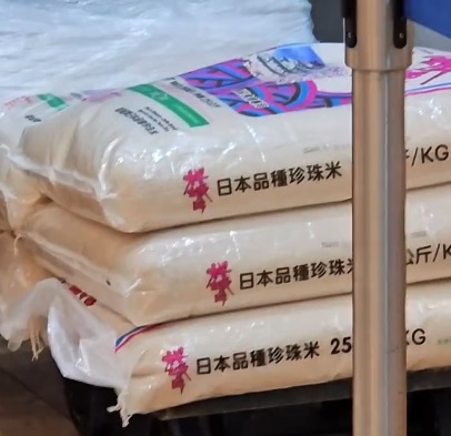 日嚐白饭 日嚐白饭