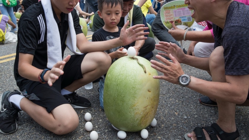 2020年民众在台北市中心参加“立西瓜”比赛 2020年民众在台北市中心参加“立西瓜”比赛