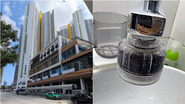 皇后山庄园的水质量说，当局说，测试结果是安