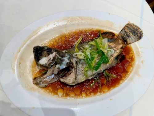 503170154_9949405548458790_6918256685696461589_n