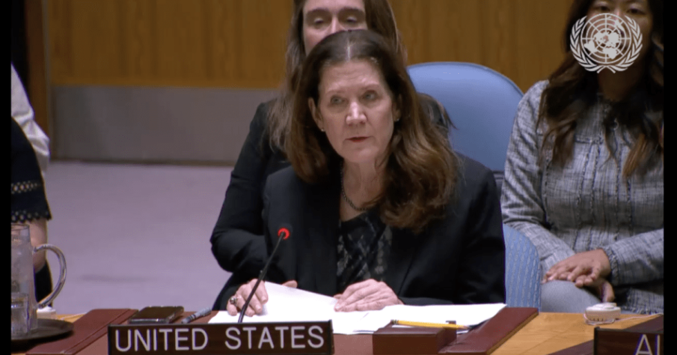 美国驻联合国大使谢伊在表决前发言。联合国视频.png