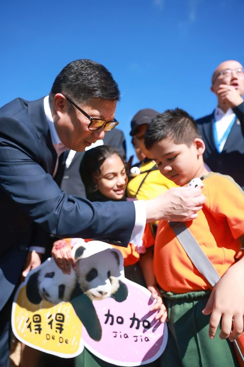 邓炳强第一次探“加加”“得得”1