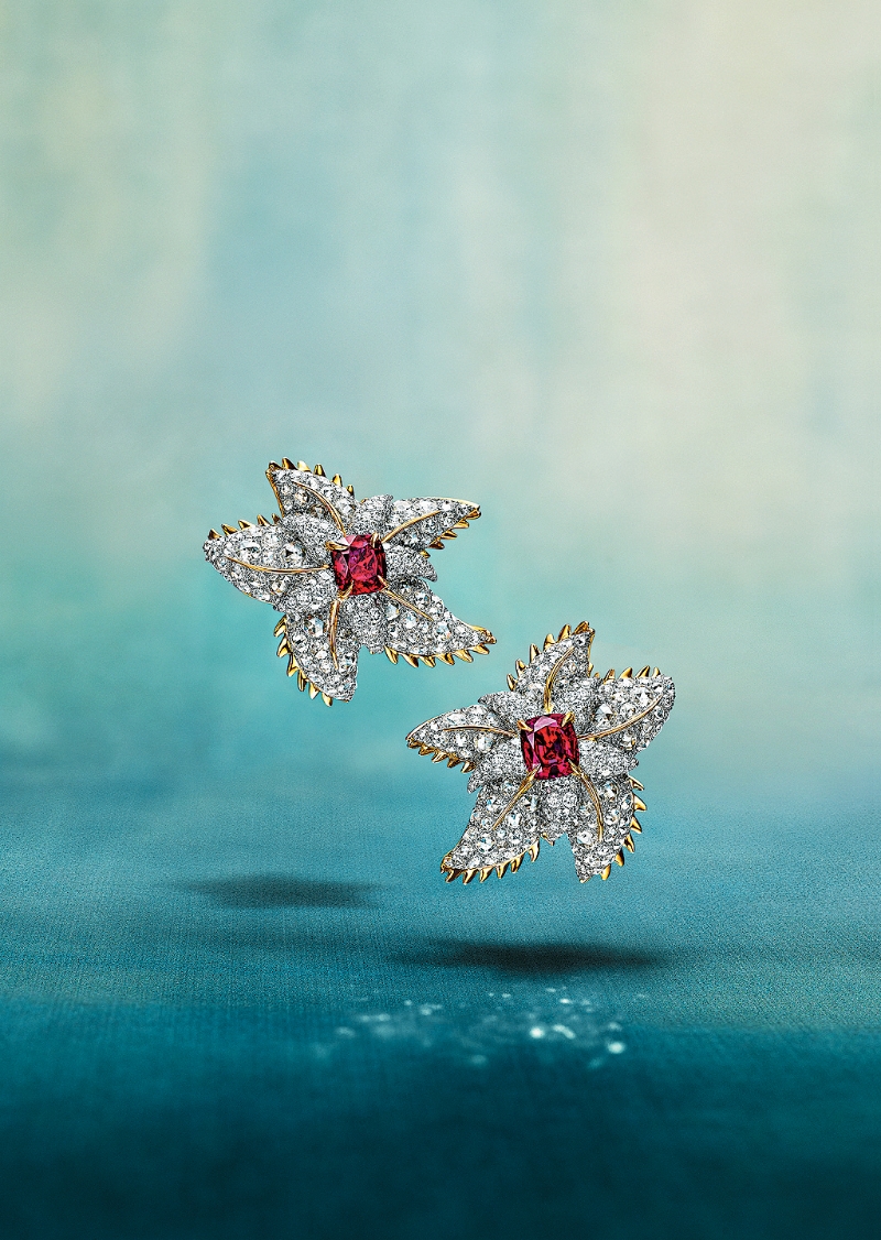 FEA23P06120625 copy FEA23P06120625 copy