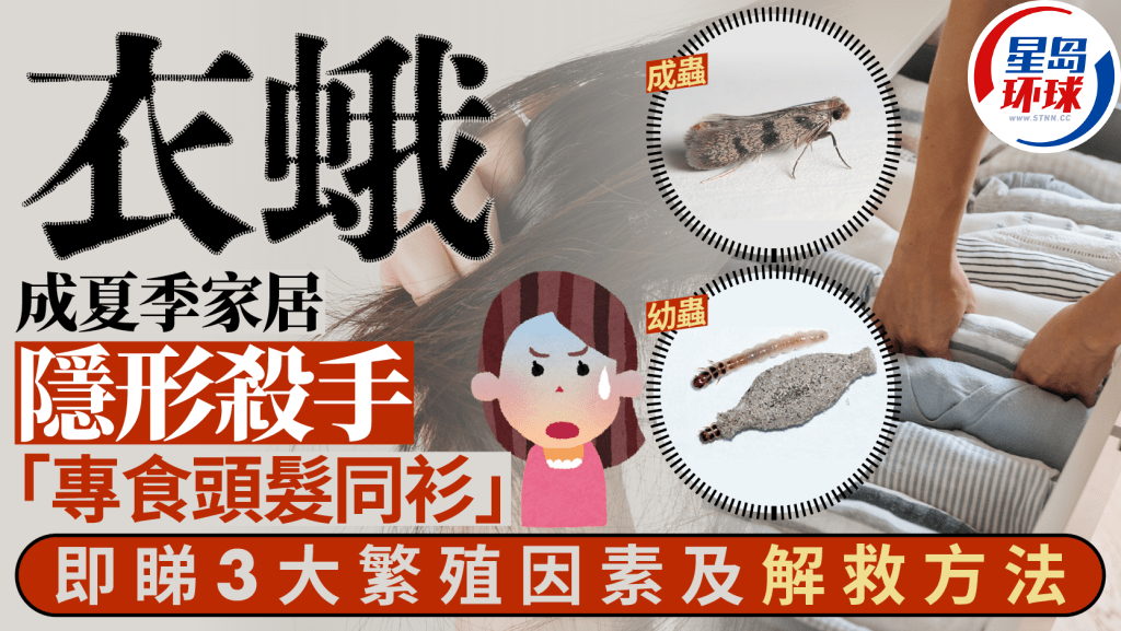 衣蛾成夏季家居“隐形杀手” 衣蛾成夏季家居“隐形杀手”
