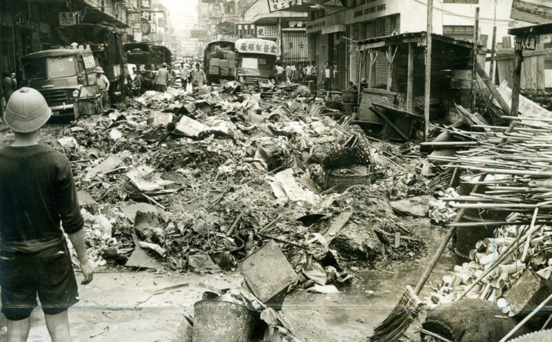 “温黛” 过后满目疮痍。 资料图片