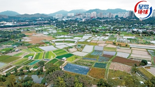 粉岭17区公屋项目暂缓 粉岭17区公屋项目暂缓
