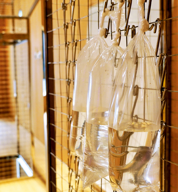 《秒爱之门》胶袋没了鱼。.jpeg 《秒爱之门》胶袋没了鱼。.jpeg