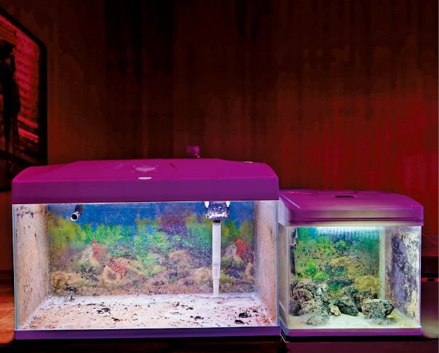 就像经历了生命周期,是仿佛过了若干年后、被遗弃多时的状态。.jpeg 就像经历了生命周期,是仿佛过了若干年后、被遗弃多时的状态。.jpeg